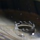 Illustration for article titled Shooting Challenge: Water Drop Gallery Part 3